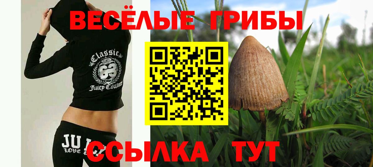 Галлюциногенные грибы Cubensis Тайшет